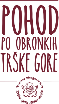 Pohod po obronkih Trške gore