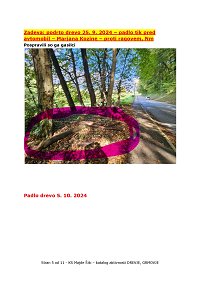 tinywow_KS - POBUDE KS - drevesa - grmovje_80131688_5