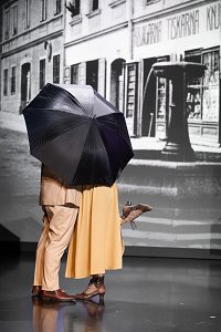 Ukraden poljub - foto Boštjan Pucelj.jpg