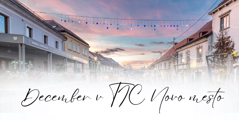 Slika_december v TIC NM 2025