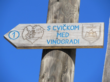 tabla -s cvičkom med vinogradi