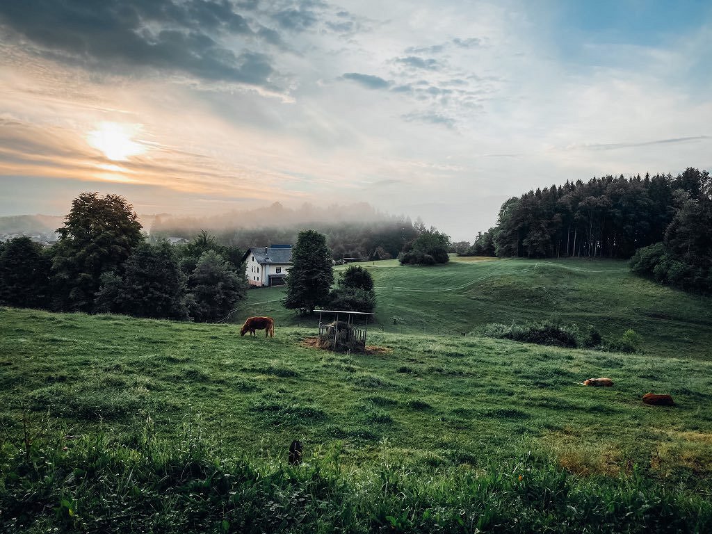 PRI NAS JE LEPO NARAVA 3