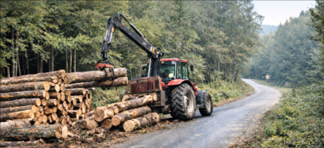  Obvestilo lastnikom gozdov in izvajalcem pri sečnji in spravilu lesa ob občinskih cestah
