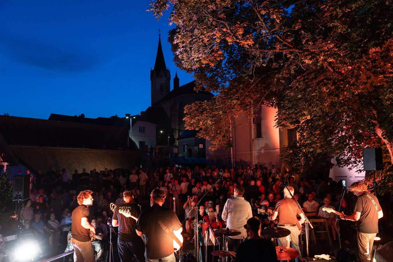 Na fotografiji so udeleženci in nastopajoči na festivalu Novomeško poletje v Muzejskih vrtovih Na fotografiji so udeleženci in nastopajoči na festivalu Novomeško poletje v Muzejskih vrtovih