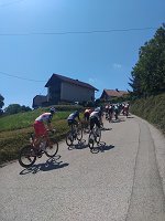 Dirka po Sloveniji