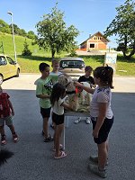 20260618_170235 (1)