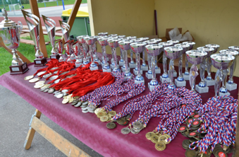 medalje 2019